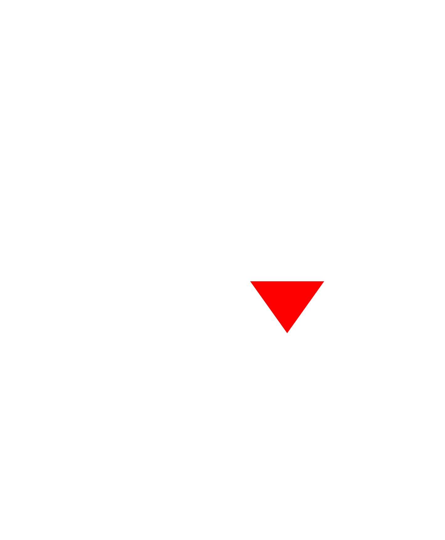 Falasteen on Film